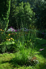 Round flower bed is a complex composition of cereals and flowers