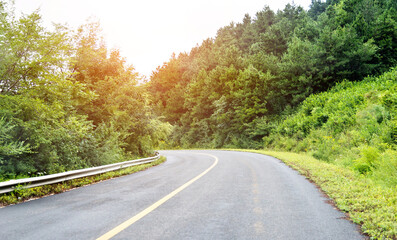 Asphalt road through green field in summer day