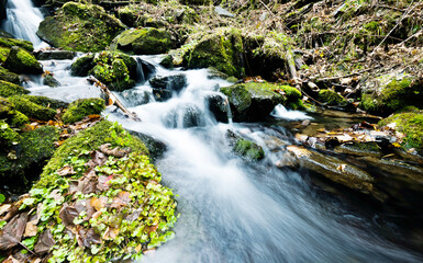 Fototapeta na wymiar Mossy rocks in stream with smooth flowing water
