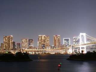 Fototapeta premium 東京の夜景