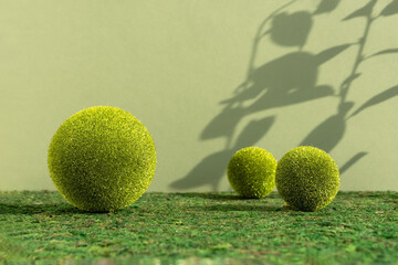 Premium empty scene with grass balls on moss on a green background with the shadow of plant leaves....