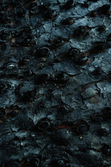 Close up Surface of charcoal. Black charcoal bark background