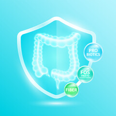 Intestines in glass shield. Probiotic fiber and FOS fructo oligosaccharides. Vitamins beta carotene supplement nutrients necessary for health. Create balance for the gut. Medical health care. Vector.