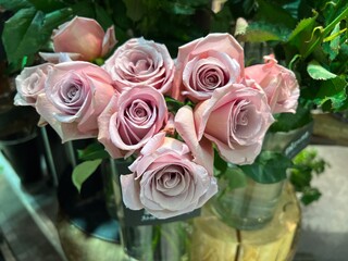ピンクのバラの花のアップ