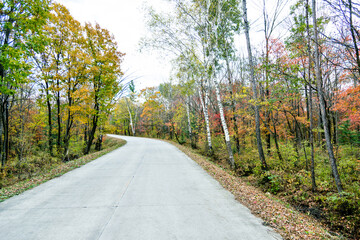 Scenic road through autumn trees