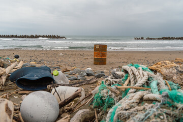 海岸のゴミの王
