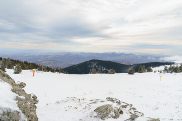 Winter nature snow landscape in the mountains. Fir trees under the snow. High quality photo