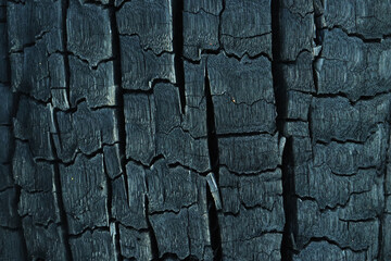 Close up Surface of charcoal. Black charcoal bark background