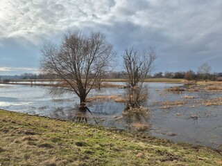 Widok na zalane tereny przy rzece. Rozlewisko. 