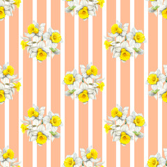 Watercolour daffodils spring flowers decor illustration stripe seamless pattern. On Peach background. Hand-painted. Botanical Floral elements. For interior print decoration, fabric, wrapping