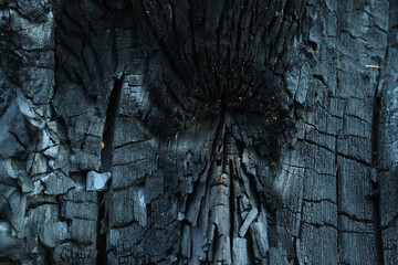 Close up Surface of charcoal. Black charcoal bark background