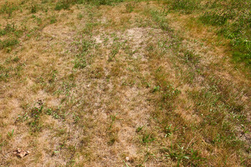 Trockenheit in der Oberlausitz 2022	