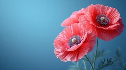 a couple of red flowers sitting on top of a lush green leafy plant with a blue sky in the backgrounnd of the picture and a light blue background.