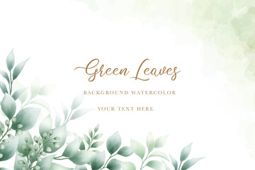 Beautiful watercolor  green leaves background 