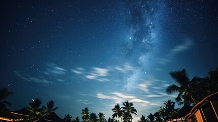 A captivating night sky filled with twinkling stars and palm trees. Perfect for adding a touch of enchantment to any project or design