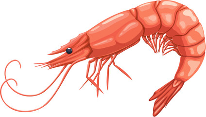 Cartoon seafood, shrimp or prawn for sea food cuisine or restaurant, isolated vector. Whole raw prawn or shrimp for seafood cuisine cooking ingredient or sushi bar menu and fish market food product