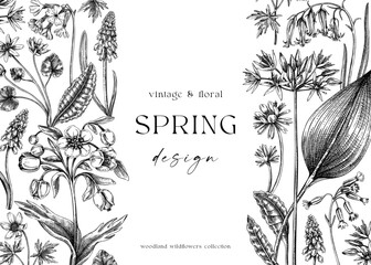 Vintage spring background. Hand drawn vector illustration. Vintage floral frame. Woodland wild flower sketches. Wildflowers design template - obrazy, fototapety, plakaty