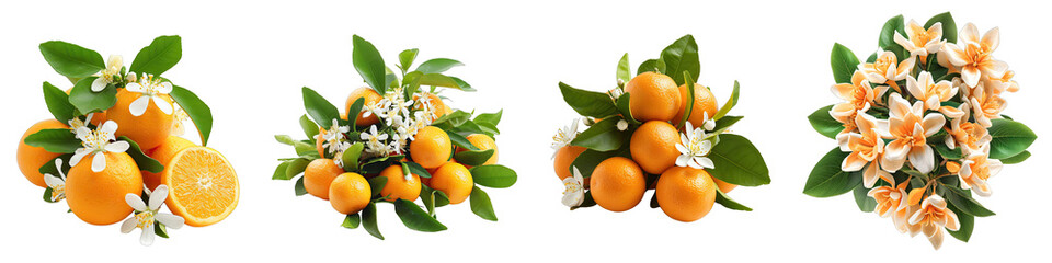 Orange Blossom Flower Pile Of Heap Of Piled Up Together Hyperrealistic Highly Detailed Isolated On Transparent Background Png File