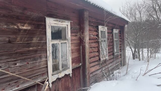 old Soviet abandoned village house in Russia, covered with snow, Smolensk region, bushes