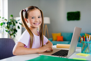 Portrait of clever cheerful girl toothy smile sitting chair use laptop online lesson morning house indoors