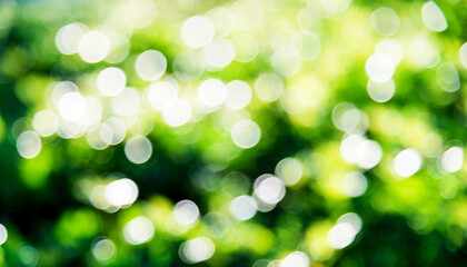 Natural green background