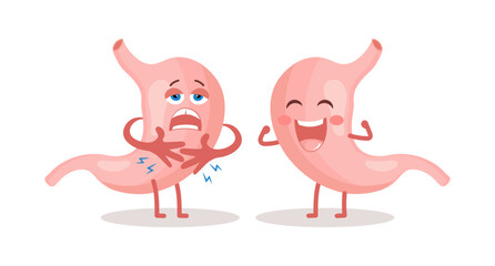 Healthy and unhealthy human stomach characters in cartoon flat style. Healthy diet. Nutrition, stomach pain, bloating. Anatomy of the digestive system. Vector