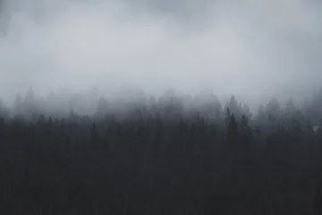 Foto op Plexiglas Mistige ochtendstond Foggy morning in the Yellowstone Forest