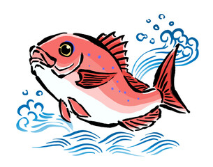 鯛と波の手書きイラスト素材　跳ねる鯛　筆・和風