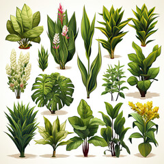 Pattern with green plants