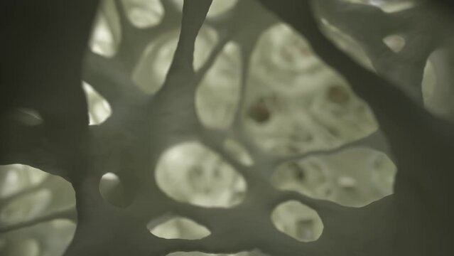 Realistic 3D animation of a camera moving over well-lit spongy bone tissue, resembling imagery from an electron microscope.