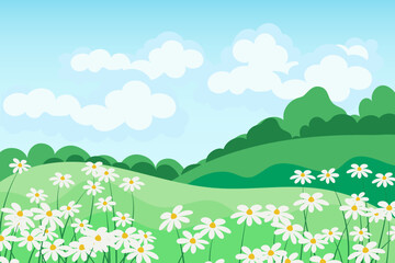 Spring-summer landscape, chamomile fields and meadows against the sky with clouds. Illustration, background, vector