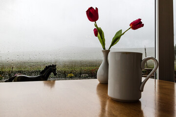 Still life with tulips and cup of coffee