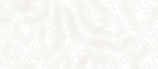Abstract topographic Contour Map Subtle White Vector Background . Blank Detailed topographic patter line map background .Topographic Map Of Wild West Abstract Vector Background.