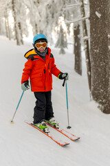Kid Enjoying Ski in Forest