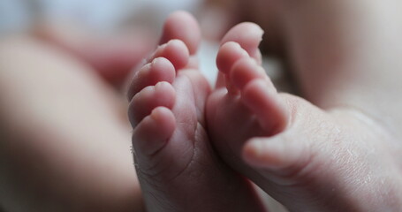 Obraz na płótnie Canvas Newborn baby feet in macro close-up. Infant foot together in first week of life