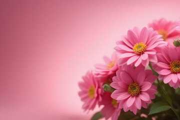 Vibrant pink flowers in a lovely bouquet on a pink background for special occasions.