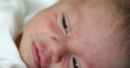 Newborn baby infant close-up macro detail