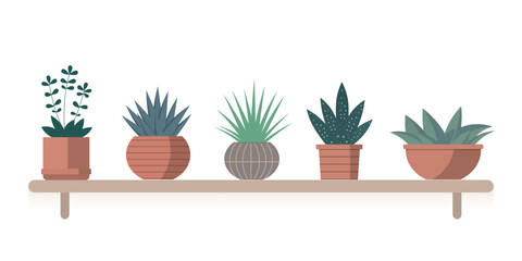 Set of minimal plants and cactus in pots, indoor flora collection, For home and office decorations, cards and graphic banners, flat vector illustration