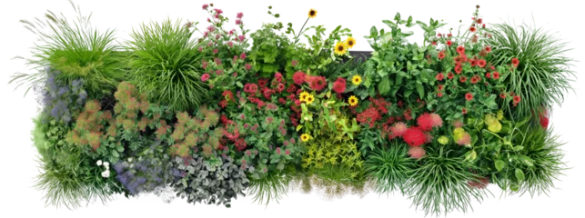   Green Flower Bed Template. Top Masterplan View. Ai Generative © susse_n