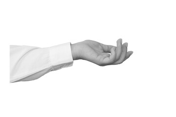 Black and white hand in a white shirt holds something isolated on white background - element for collage