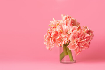 Transparent vase with pink flowers on a pink background