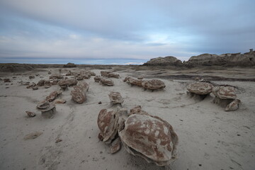 Bisti Badlands Wilderness Area,New Mexico, USA