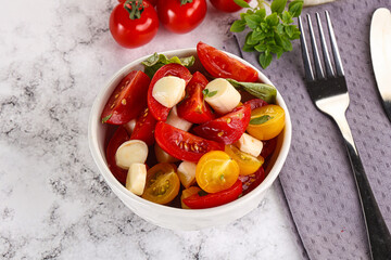 Italian Caprese salad with tomato and mozzarella