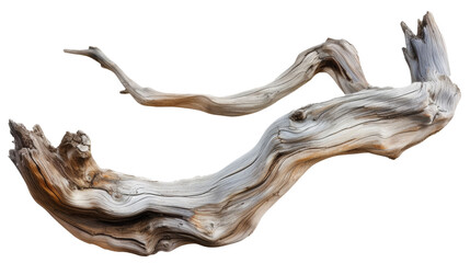 Driftwood Piece Resting on Isolated on Transparent Background