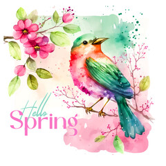 Hello spring bird watercolor paint 