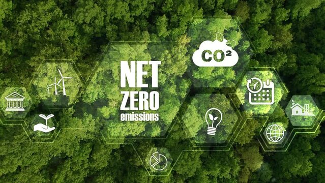 Net zero , carbon neutral concept. Net zero greenhouse gas emissions target. Green forest landscape.Long term strategy with net zero icon and poligonal icons on green forest background.4k footage