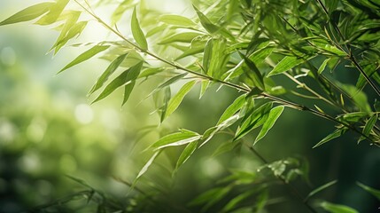 Amidst the morning light, bamboo leaves stand out against a bokeh background