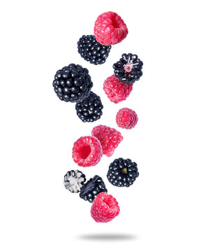 Group of ripe juicy raspberries and blackberries close up in the air on a transparent background