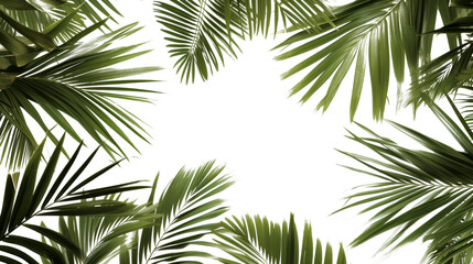Fototapeta na wymiar Group of Palm Trees Suspended in the Air