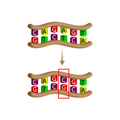 Substitution mutation, error during DNA replication, one nucleotide is replaced by a different nucleotide. Genomics, Scientific design, Vector illustration.
